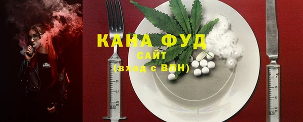дмт Сатка