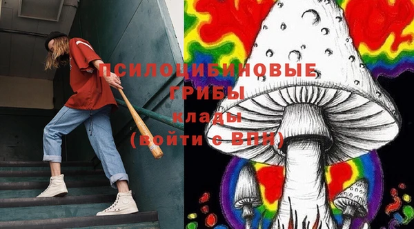 дживик Беломорск