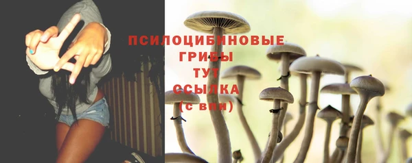 MDMA Premium VHQ Белокуриха
