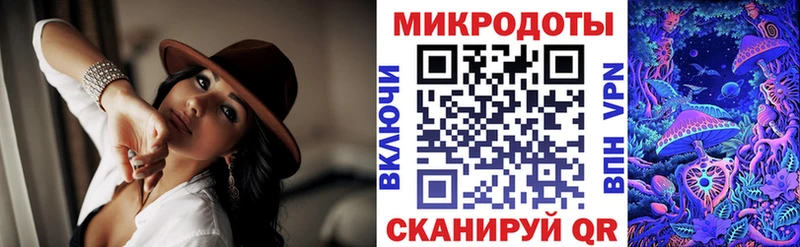 Галлюциногенные грибы Psilocybine cubensis  закладка  Буйнакск 