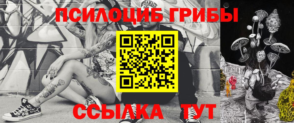 Псилоцибиновые грибы прущие грибы Буйнакск