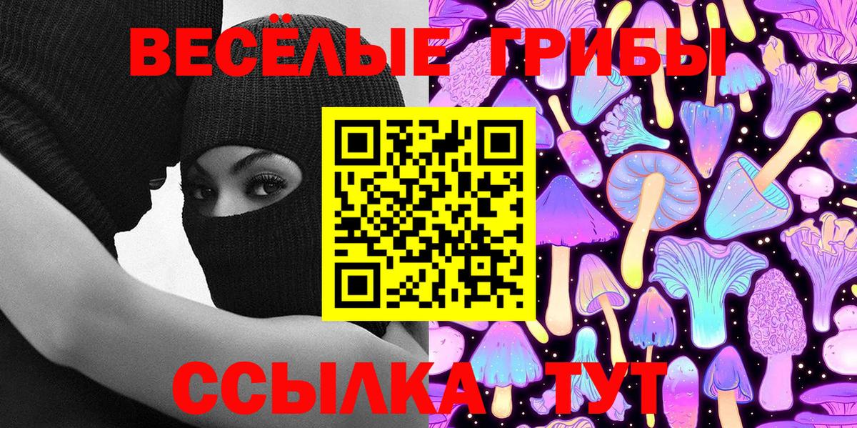 Галлюциногенные грибы Magic Shrooms  Буйнакск  продажа наркотиков  Псилоцибиновые грибы мухоморы 